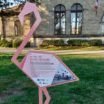 Plaque thématique – Flamant rose