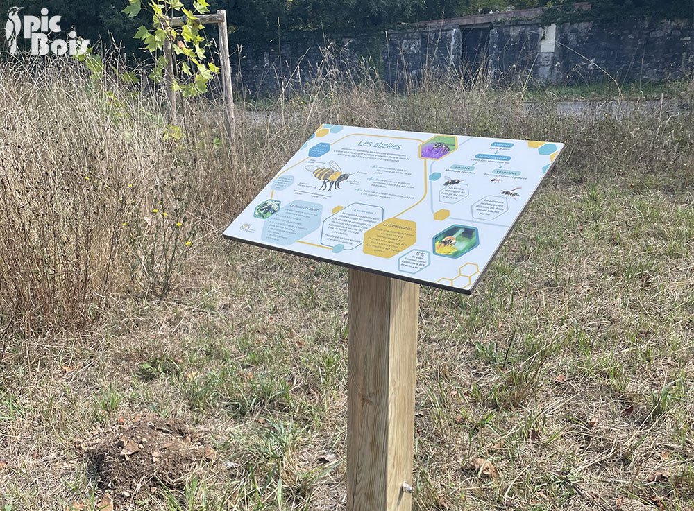 Signalétique touristique - Table de lecture - Les abeilles - Fabrication PIC BOIS